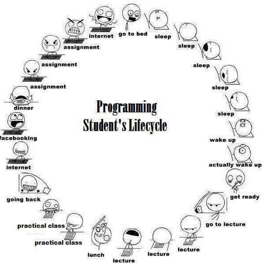 Life cycle of a programming student