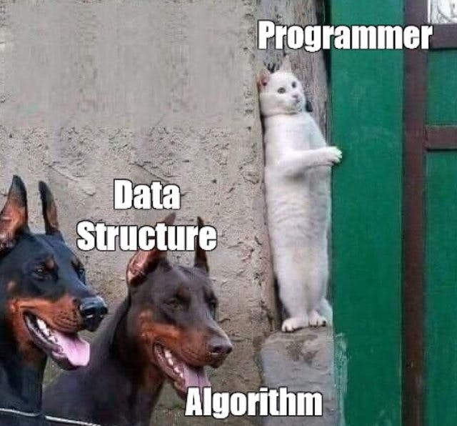A meme of programming avoiding Data Structure and Algorithms